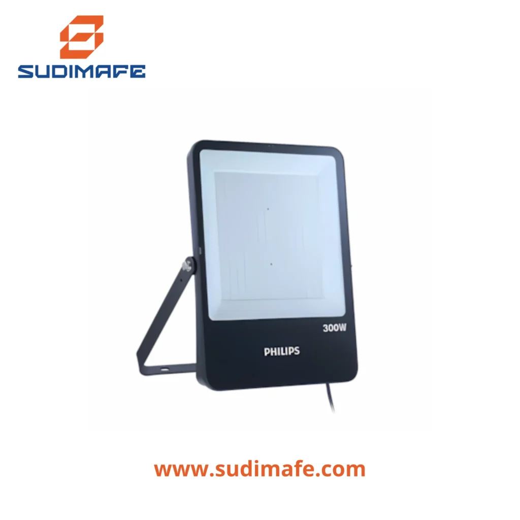 reflector led philips 300w 6500K IP65
