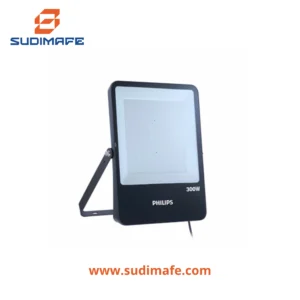 reflector led philips 300w 6500K IP65